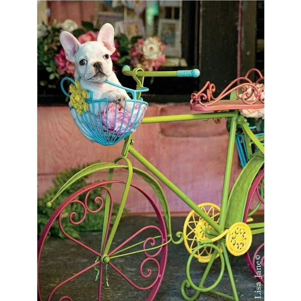 Buffalo Games Bike Basket Bulldog 750 pc Jigsaw Puzzle USED